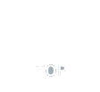 トップ